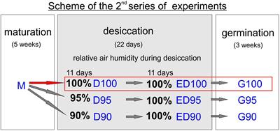 The humidity level matters during the desiccation of Norway spruce somatic embryos